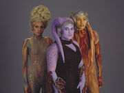 Lunae Minx.jpg