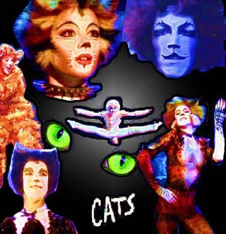 File:Catscollage.jpg