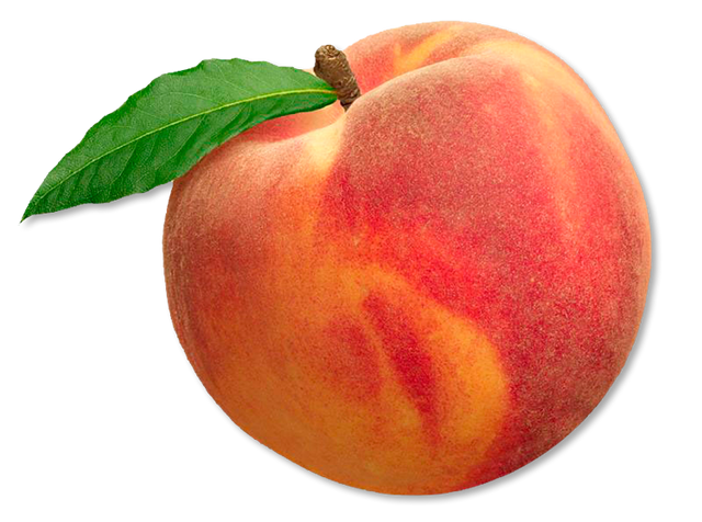 File:Download.png