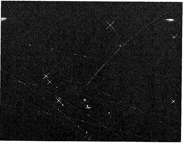 Файл:Protons2.jpg