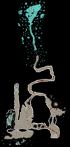 Cablad Caverns