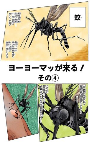 File:SO Chapter 81.jpg