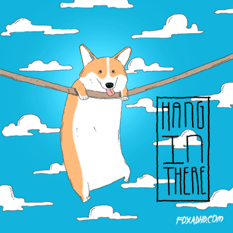 File:Hang in there doge.gif