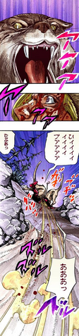 File:Drferdinand3.png