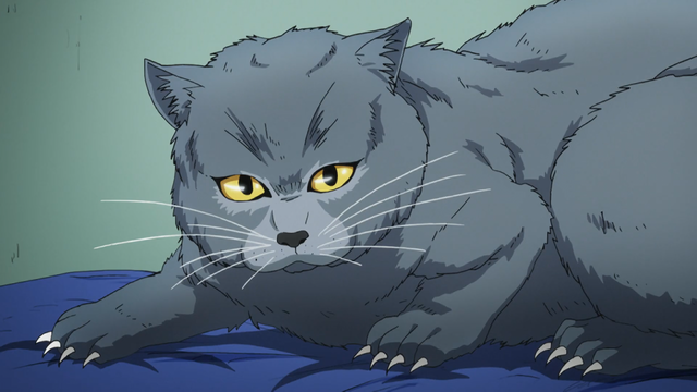 File:Tama wary of Shinobu.png