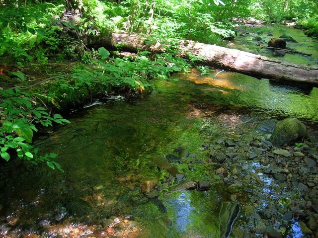 File:Stream.jpg