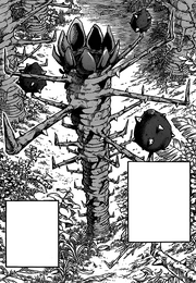Rokakaka.png
