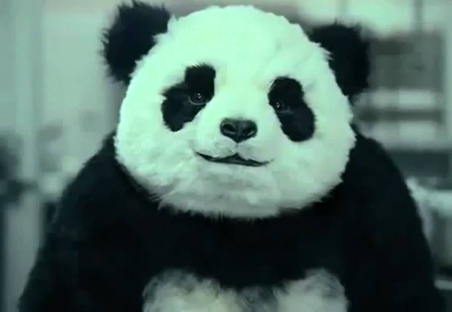 Panda (Panda Cheese Ads) | Joke Battles Wikia | FANDOM powered by Wikia