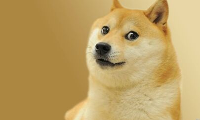 18360-doge-doge-simple