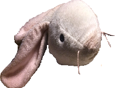 Hop head-0