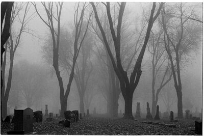 4684094-3301193709-foggy