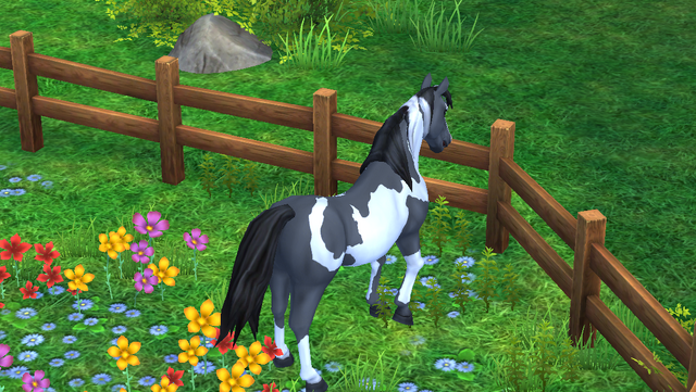 File:IMG 3175.png