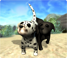 Dogs.png