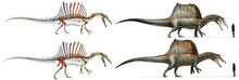 New Skeleton vs What Will Likely Be If It Isn't a Quadrupedal