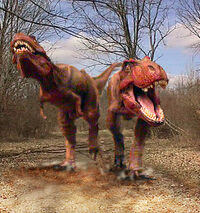 Allosauruses