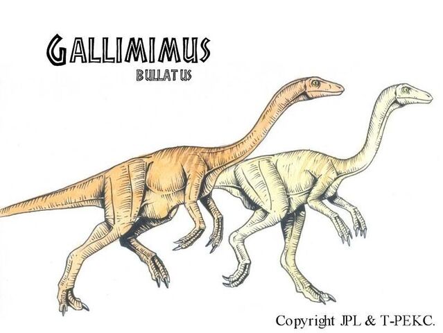 File:Gallimimus.jpg