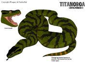Titanoboa