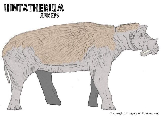 File:Uintatherium.jpg