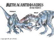 Metriacanthosaurus