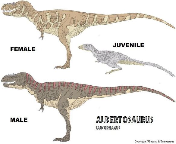 File:Albertosaurus.jpg
