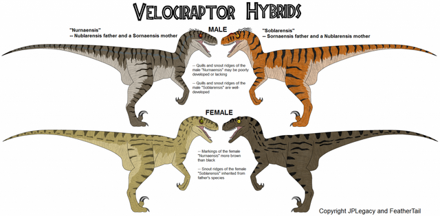 File:VelociraptorHybrids zps1329c93c.png