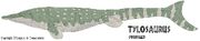 Tylosaurus