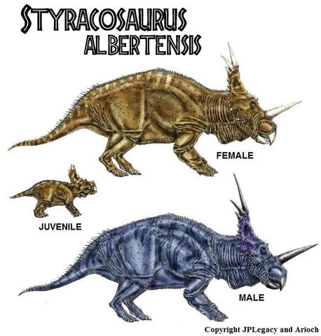 File:Styracosaurus.jpg