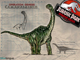 Camarasaurus W