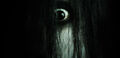 Thumbnail for version as of 08:08, November 21, 2011