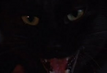 Thumbnail for version as of 21:33, April 24, 2011