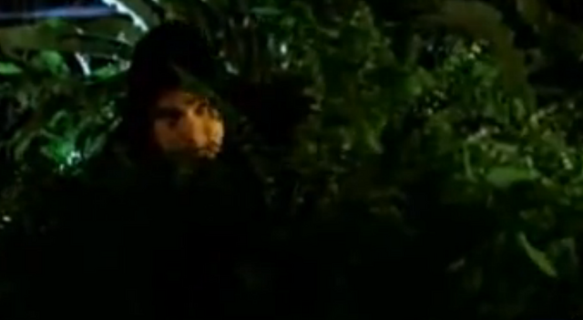 File:Juaninthebushes.png