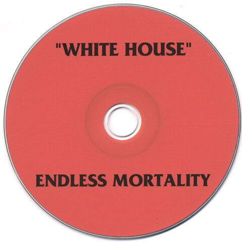 File:Endless Mortality CD.jpg
