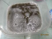 IMG 3469.jpg