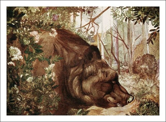 File:Baloo.jpg