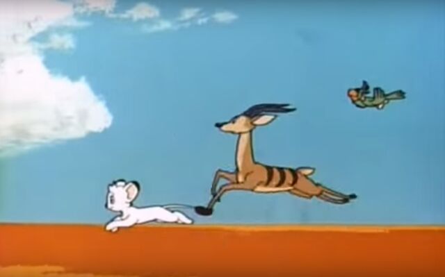 File:Bucky 66 Opening1.jpg