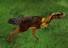 Phorus.jpg