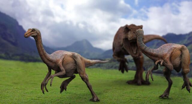 Archivo:Gallimimus.jpg