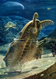 Anomalocaris prédateur1292366237.jpg