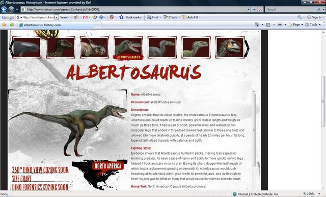 File:Albertosaurus.jpg