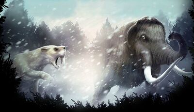 Glaciar