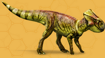 Microceratusfournew.png