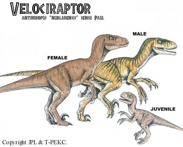 File:NublarRaptor.jpg