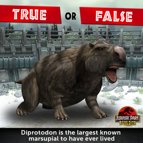 File:10354830 951690458253206 323282710988554008 n.png