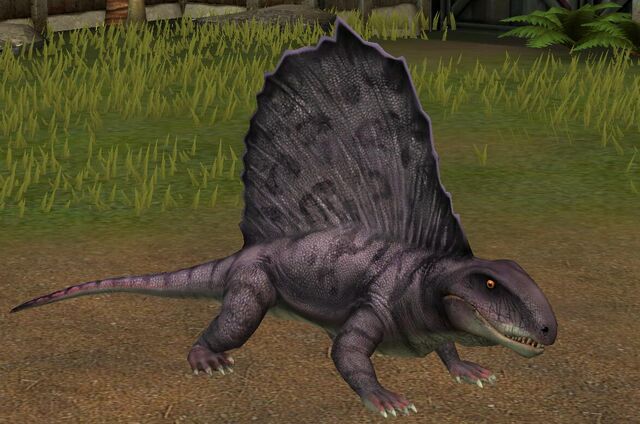 File:Dimetrodon Grandis (58).jpg