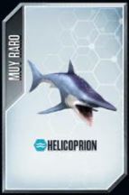 Helicoprion.jpg