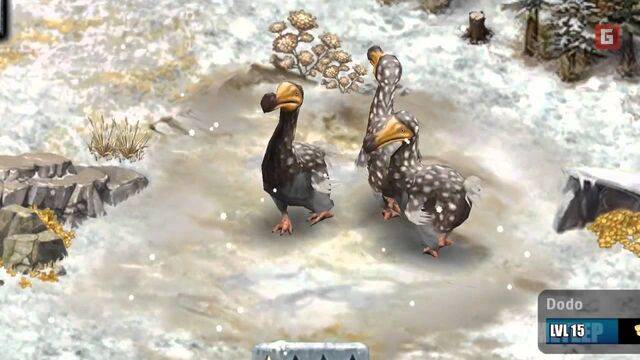 File:Lvl15dodo.jpg
