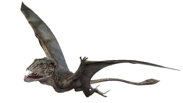 Файл:Dimorphodonjw.png