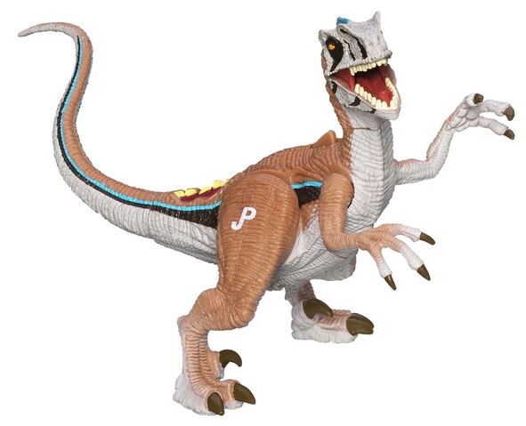 File:Velociraptor osmolskae.jpg