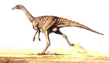 Gallimimus.jpg