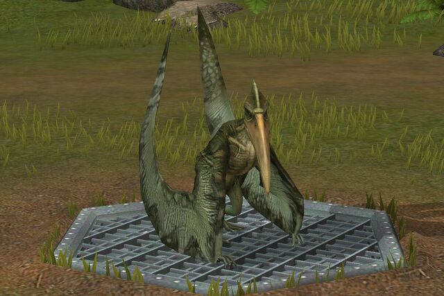 File:Pterodactylus (29).jpg